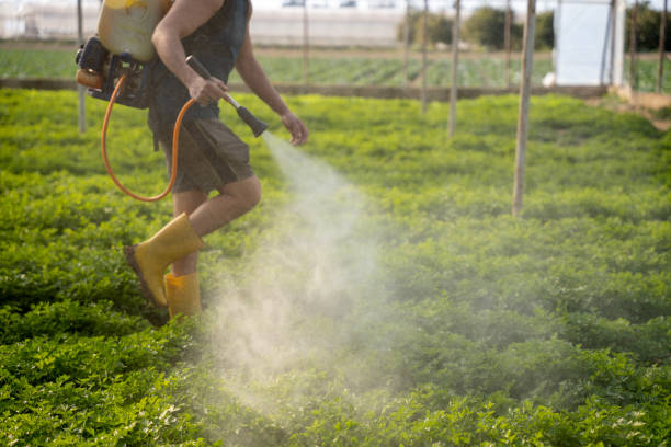 Best Mosquito Control Services  in Poseyville, IN