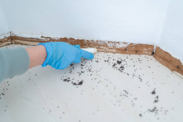 Best Residential Pest Control  in Poseyville, IN